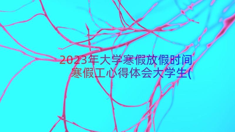 2023年大学寒假放假时间 寒假工心得体会大学生(优质11篇)