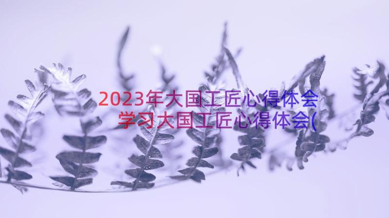 2023年大国工匠心得体会 学习大国工匠心得体会(通用8篇)