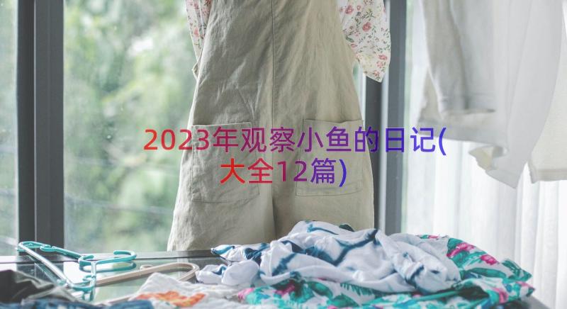 2023年观察小鱼的日记(大全12篇)