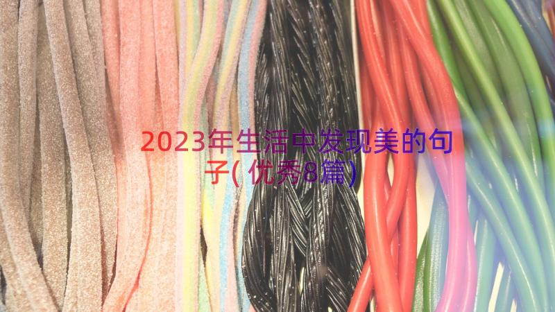 2023年生活中发现美的句子(优秀8篇)