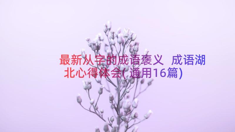 最新从字的成语褒义 成语湖北心得体会(通用16篇)