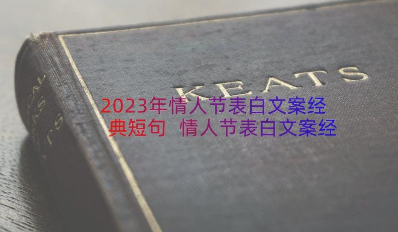 2023年情人节表白文案经典短句 情人节表白文案经典(精选8篇)