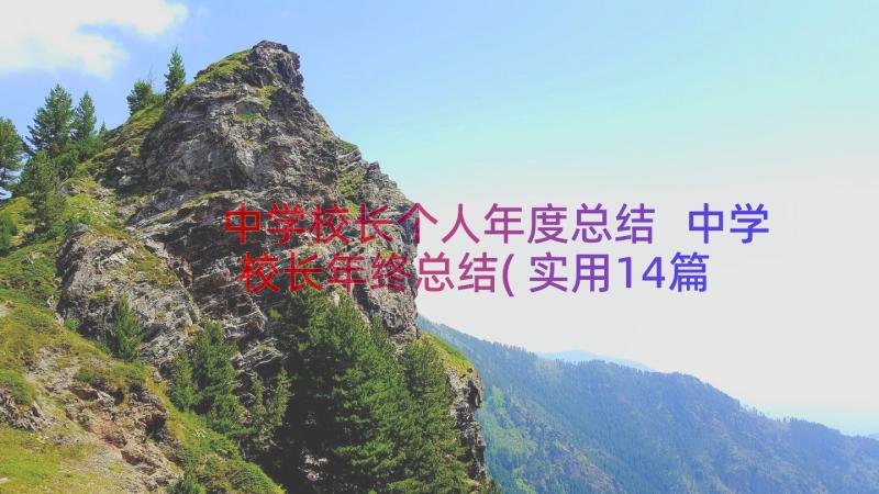 中学校长个人年度总结 中学校长年终总结(实用14篇)