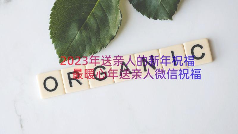 2023年送亲人的新年祝福 最暖心年送亲人微信祝福语(模板8篇)