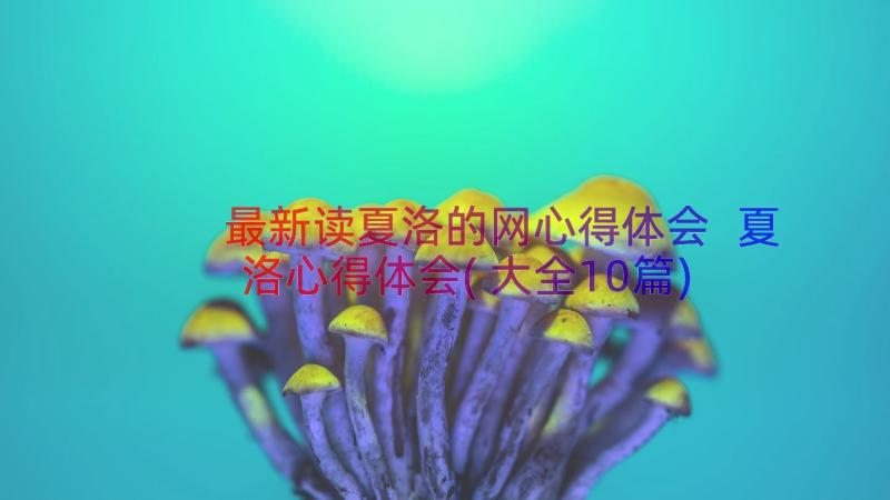 最新读夏洛的网心得体会 夏洛心得体会(大全10篇)