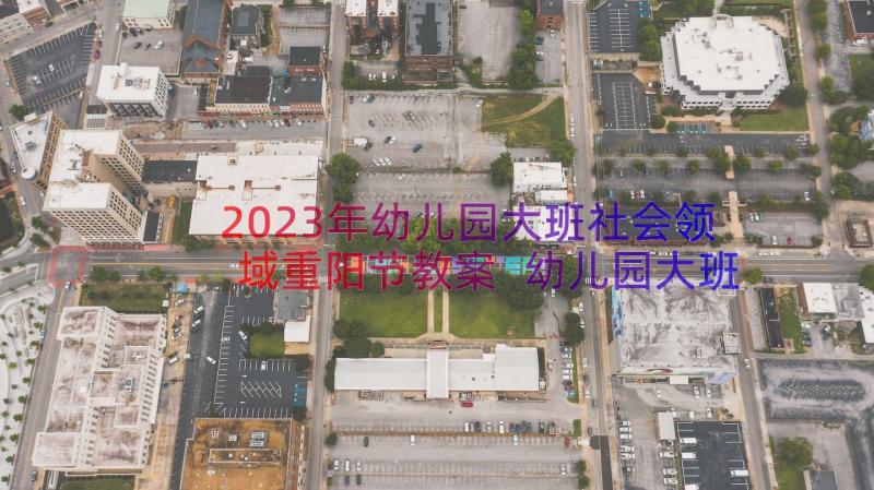 2023年幼儿园大班社会领域重阳节教案 幼儿园大班社会教案(模板8篇)