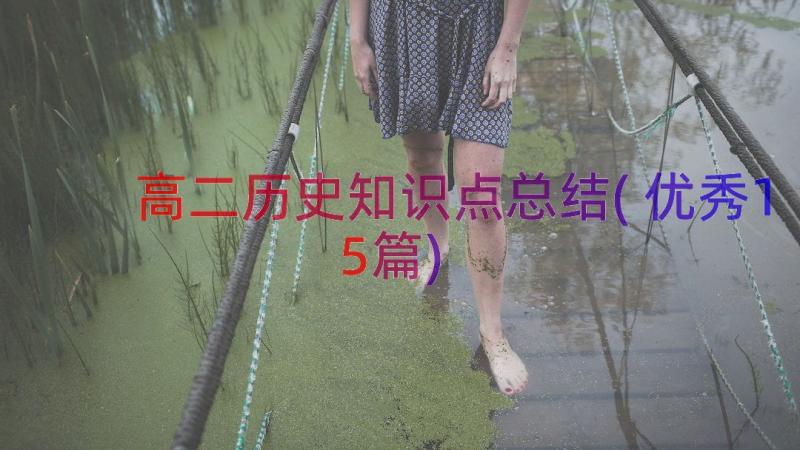 高二历史知识点总结(优秀15篇)