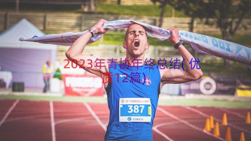 2023年青协年终总结(优质12篇)