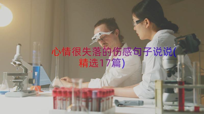 心情很失落的伤感句子说说(精选17篇)