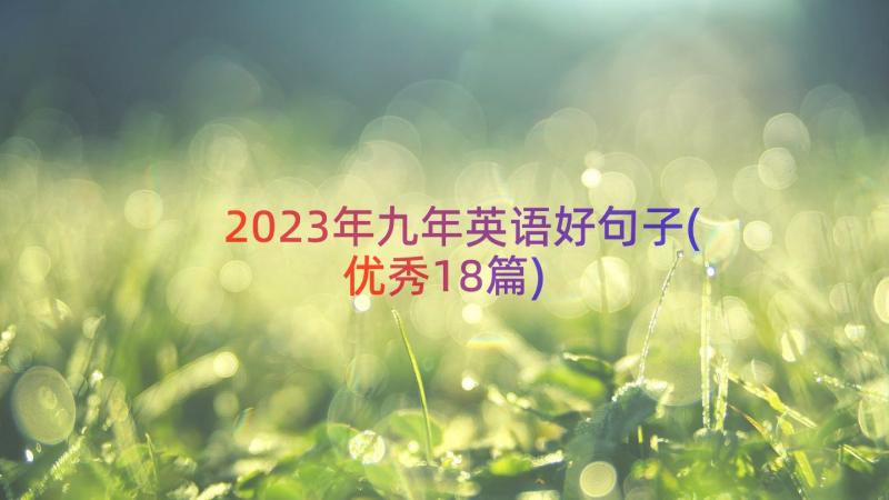 2023年九年英语好句子(优秀18篇)