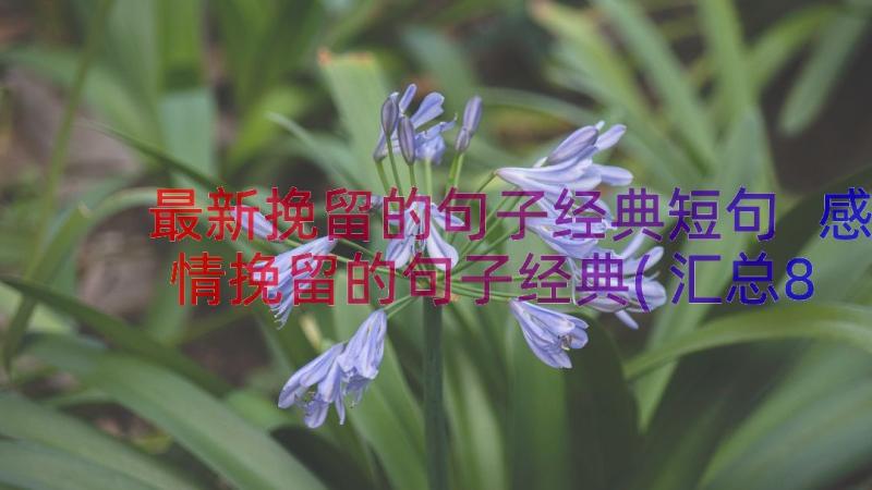 最新挽留的句子经典短句 感情挽留的句子经典(汇总8篇)