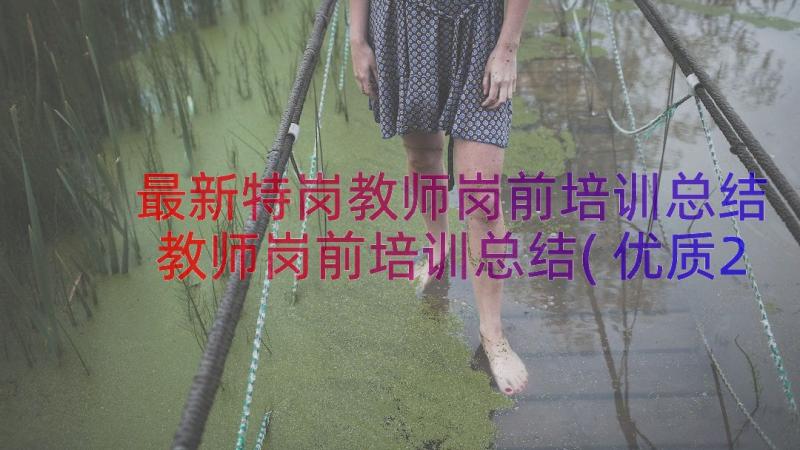 最新特岗教师岗前培训总结 教师岗前培训总结(优质20篇)