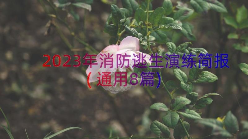 2023年消防逃生演练简报(通用8篇)