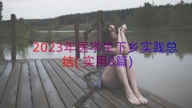 2023年医学生下乡实践总结(实用8篇)