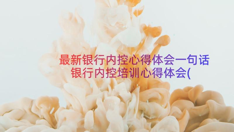 最新银行内控心得体会一句话 银行内控培训心得体会(精选10篇)