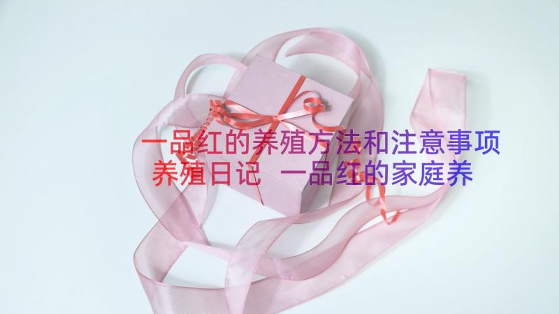 一品红的养殖方法和注意事项养殖日记 一品红的家庭养殖方法和注意事项(精选8篇)