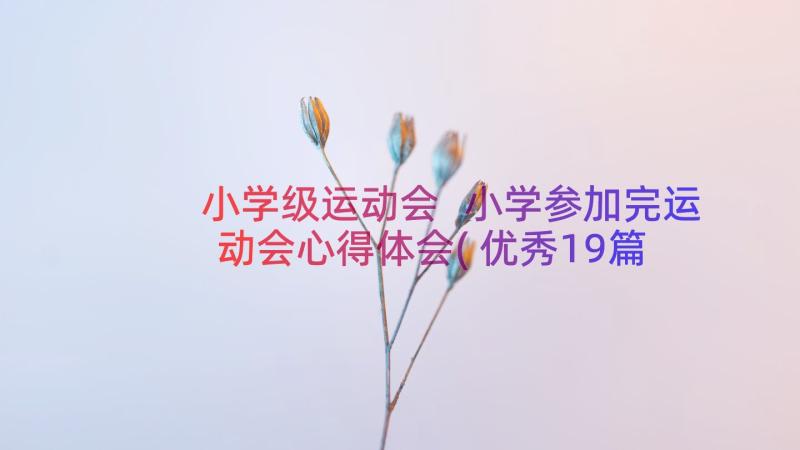 小学级运动会 小学参加完运动会心得体会(优秀19篇)