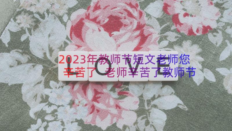 2023年教师节短文老师您辛苦了 老师辛苦了教师节祝福语各种形式(汇总12篇)