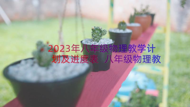 2023年八年级物理教学计划及进度表 八年级物理教学计划(大全12篇)