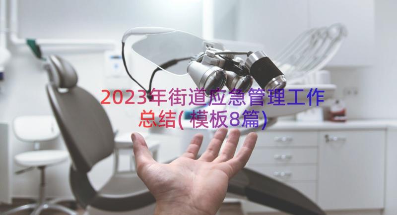 2023年街道应急管理工作总结(模板8篇)