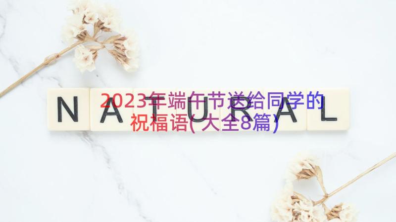 2023年端午节送给同学的祝福语(大全8篇)