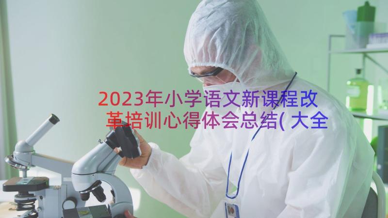 2023年小学语文新课程改革培训心得体会总结(大全20篇)