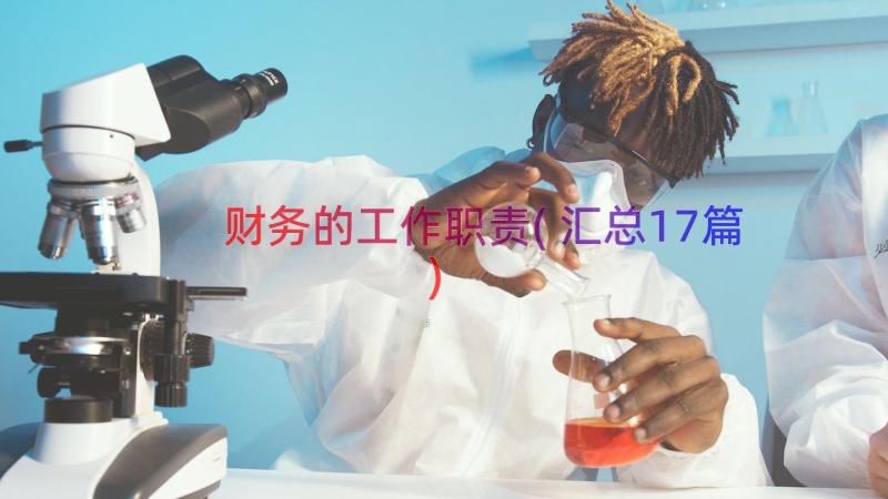 财务的工作职责(汇总17篇)