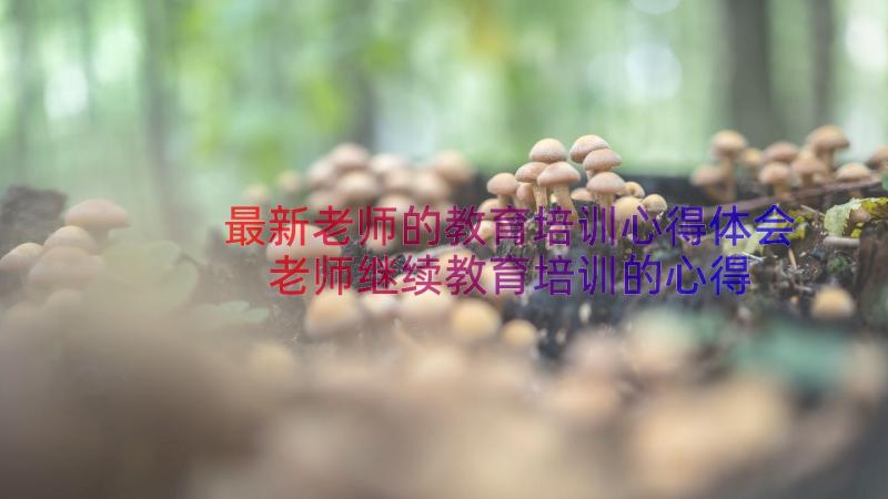 最新老师的教育培训心得体会 老师继续教育培训的心得体会(汇总8篇)