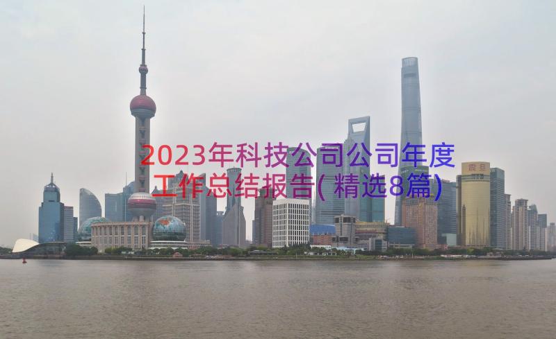 2023年科技公司公司年度工作总结报告(精选8篇)