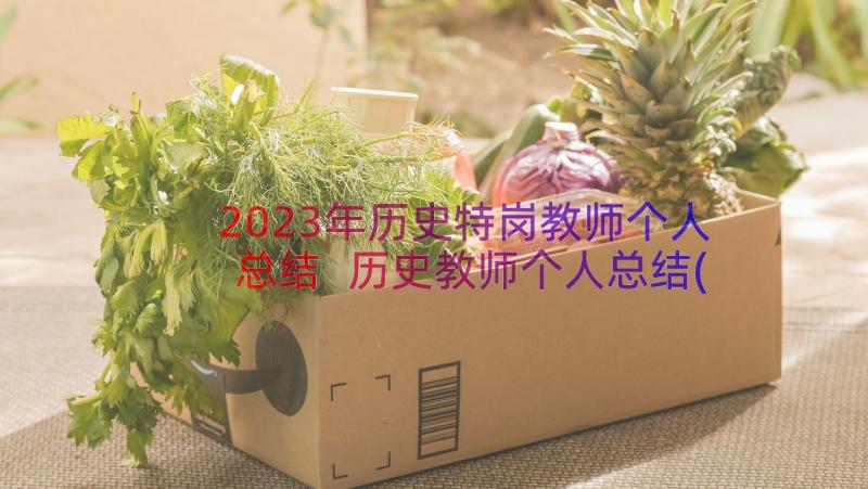 2023年历史特岗教师个人总结 历史教师个人总结(通用12篇)