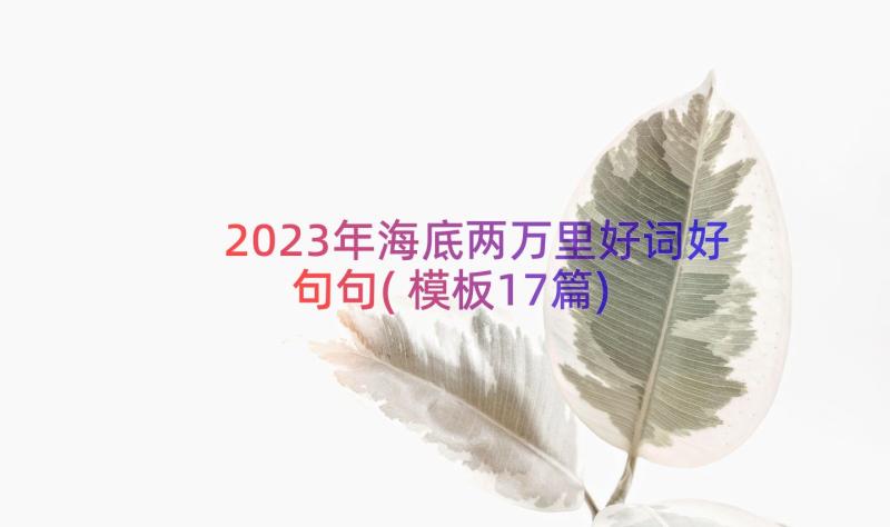 2023年海底两万里好词好句句(模板17篇)