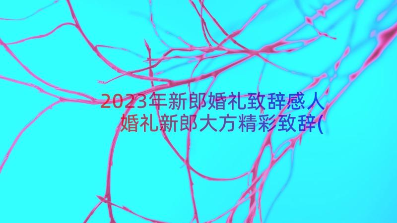 2023年新郎婚礼致辞感人 婚礼新郎大方精彩致辞(优秀8篇)