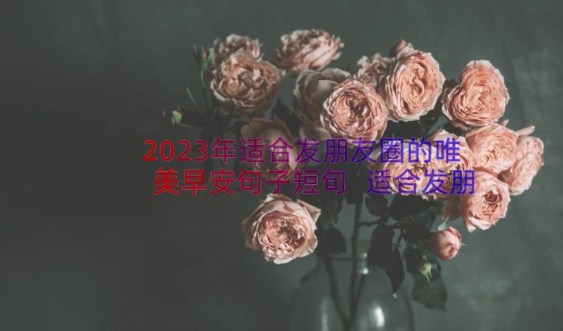 2023年适合发朋友圈的唯美早安句子短句 适合发朋友圈的早安句子(精选16篇)