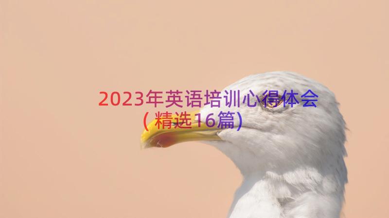 2023年英语培训心得体会(精选16篇)