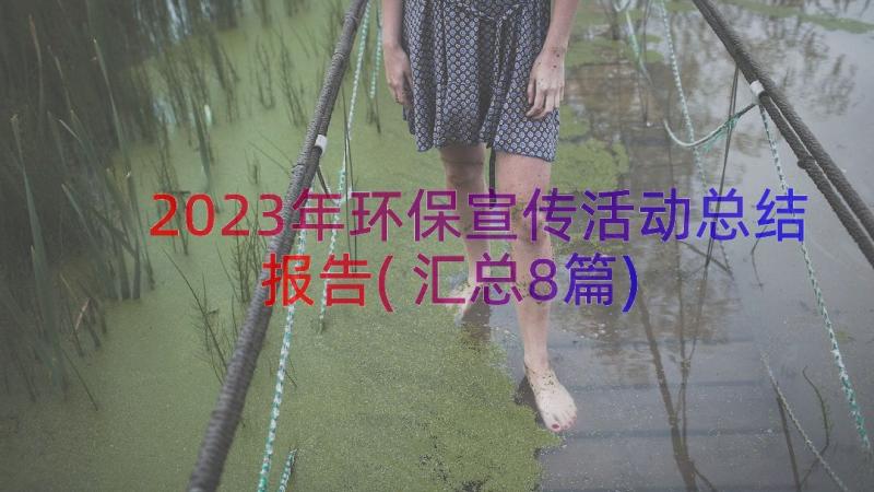 2023年环保宣传活动总结报告(汇总8篇)