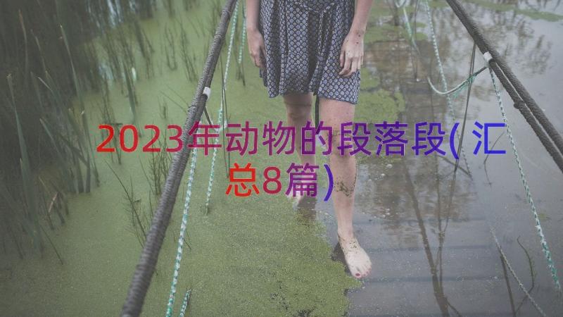 2023年动物的段落段(汇总8篇)