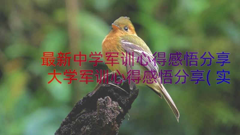 最新中学军训心得感悟分享 大学军训心得感悟分享(实用8篇)