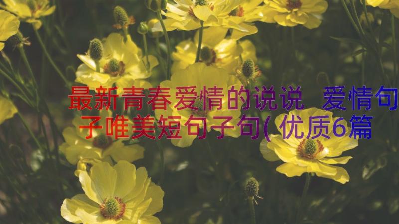 最新青春爱情的说说 爱情句子唯美短句子句(优质6篇)