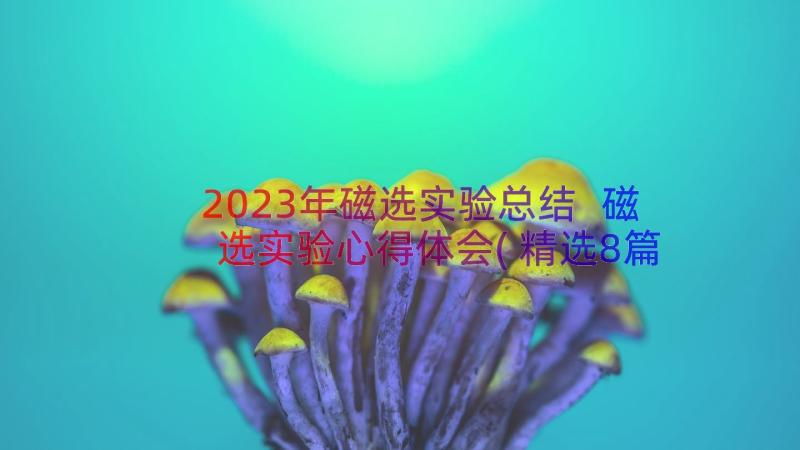 2023年磁选实验总结 磁选实验心得体会(精选8篇)