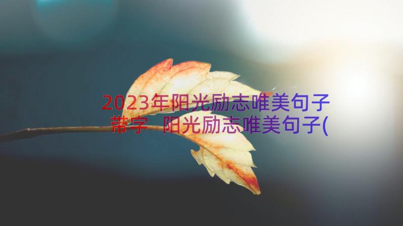 2023年阳光励志唯美句子带字 阳光励志唯美句子(优质16篇)