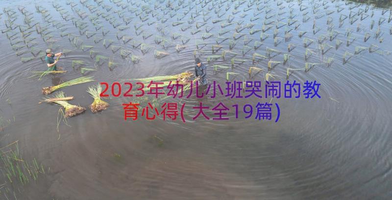 2023年幼儿小班哭闹的教育心得(大全19篇)