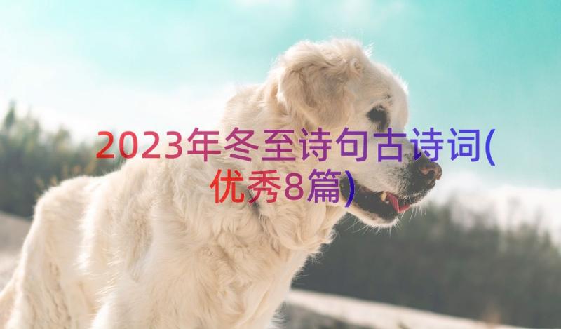 2023年冬至诗句古诗词(优秀8篇)