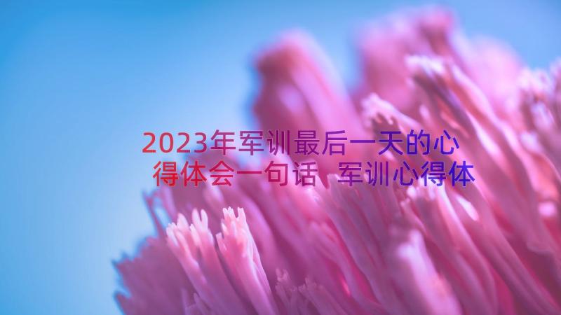 2023年军训最后一天的心得体会一句话 军训心得体会最后一天(优秀12篇)