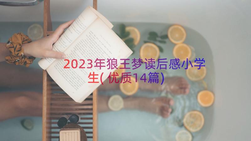 2023年狼王梦读后感小学生(优质14篇)