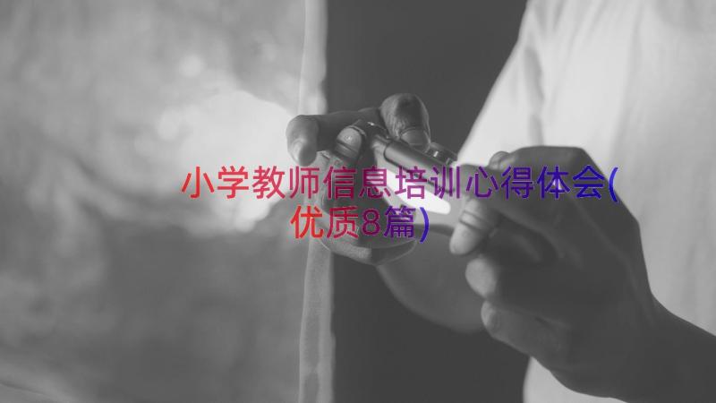 小学教师信息培训心得体会(优质8篇)