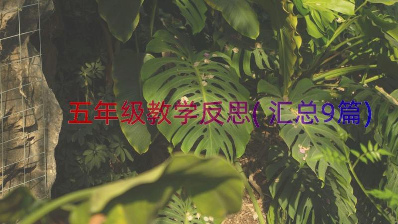 五年级教学反思(汇总9篇)