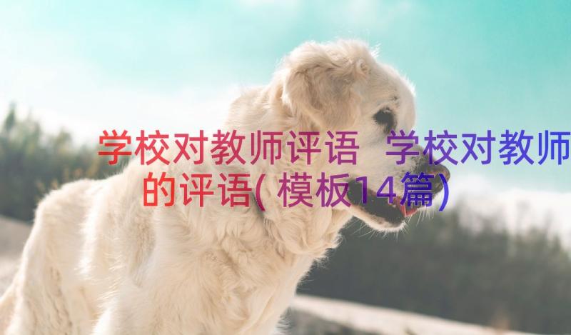 学校对教师评语 学校对教师的评语(模板14篇)