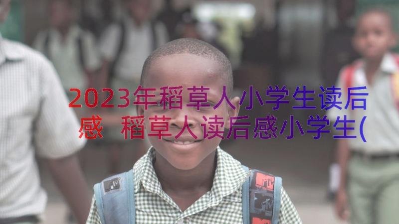 2023年稻草人小学生读后感 稻草人读后感小学生(精选17篇)