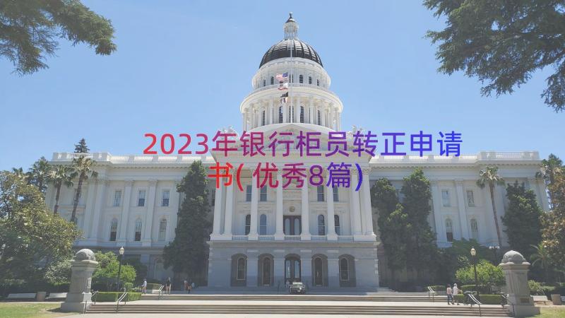 2023年银行柜员转正申请书(优秀8篇)