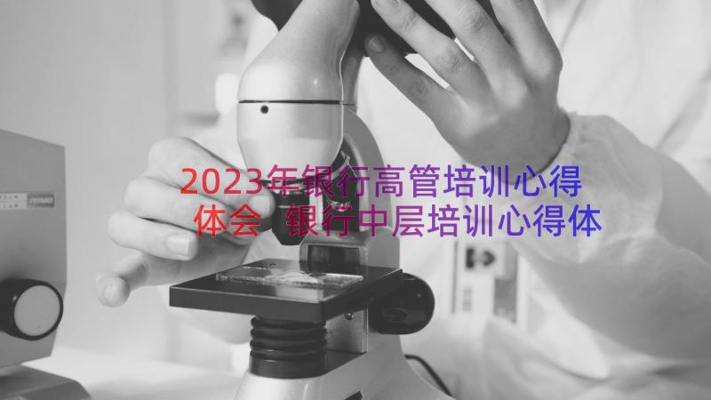 2023年银行高管培训心得体会 银行中层培训心得体会(汇总8篇)